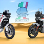 Ritratto di Luca Sabatini