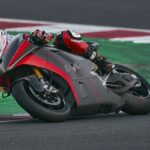 Ritratto di GPone
