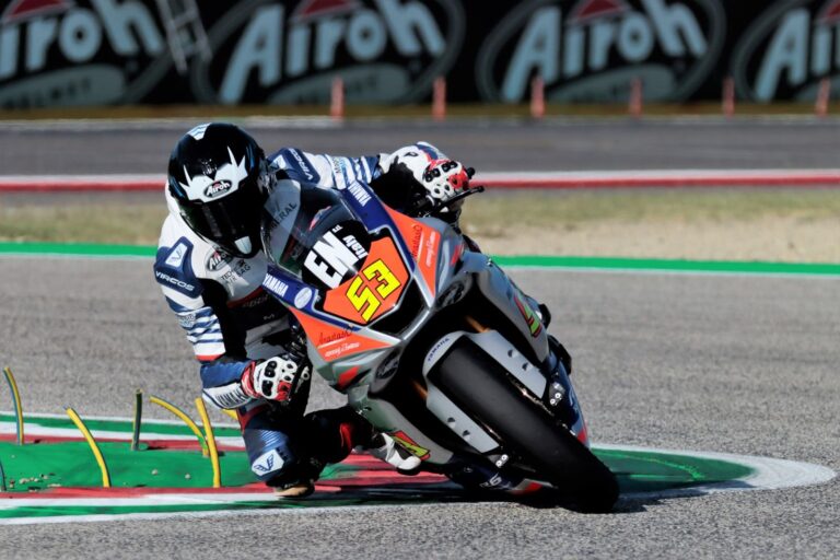 Ritratto di Andrea Periccioli
