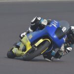 Ritratto di Andrea Periccioli