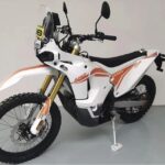 Ritratto di GPone