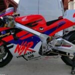 Ritratto di GPone