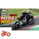 ESSAYEZ Aprilia Tuono 660 Factory : petite peste !