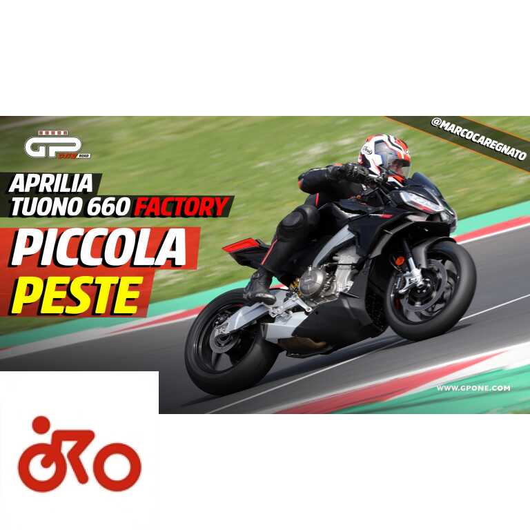 ESSAYEZ Aprilia Tuono 660 Factory : petite peste !