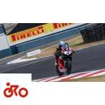 Ritratto di GPone