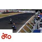 Ritratto di GPone