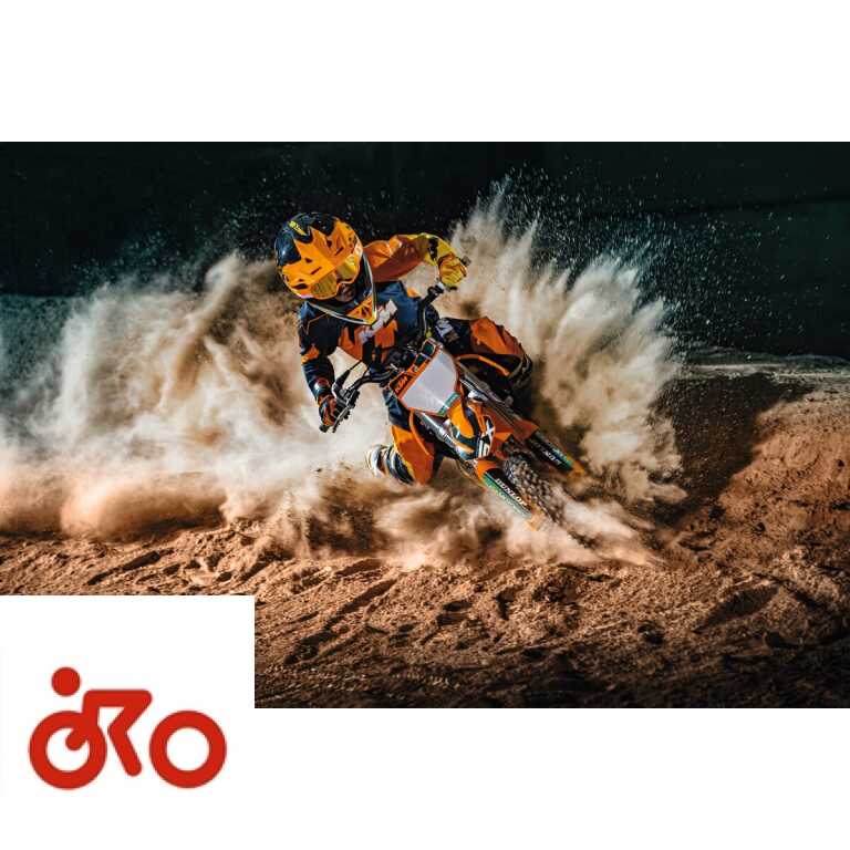 Ritratto di GPone
