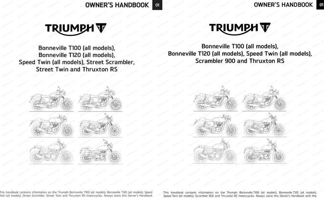 Triumph Speed ​​Twin 900 et Scrambler 900 ?  Il y a des indices