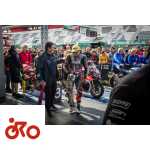 Michele Pirro, Superbike