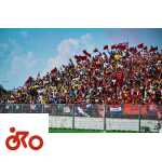 Misano MotoGP