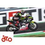 Jonathan Rea, Superbike
