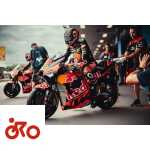 MotoGP, Brad Binder