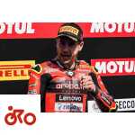 Alvaro Bautista Superbike