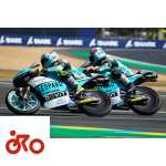 foggia suzuki, moto3