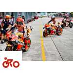 marquez honda 2022, motogp