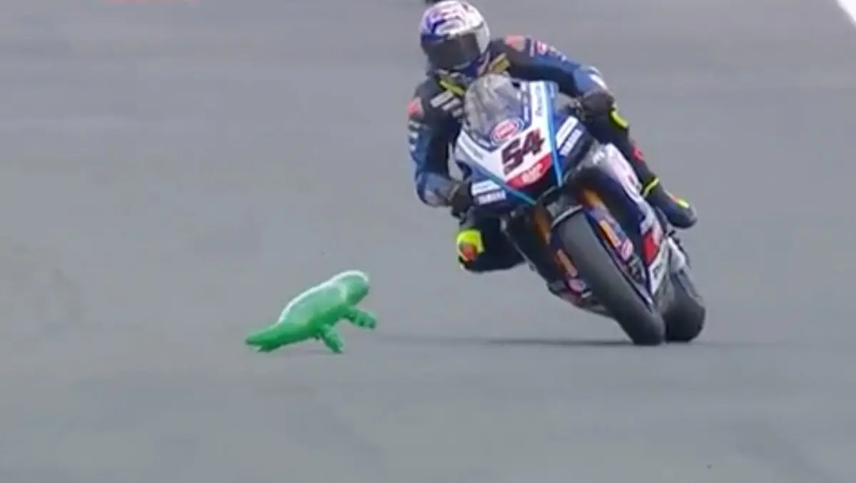Superbike Assen Practice 2 : Bautista en tête mais attention au lézard !