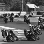 Trofeo Amatori