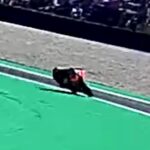 moto2-acosta-assen-llp