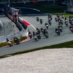 king-of-trophy-international-grobnik