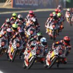 rookies-cup-calendario-2024