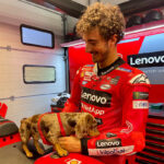 Bagnaia cane MotoGP