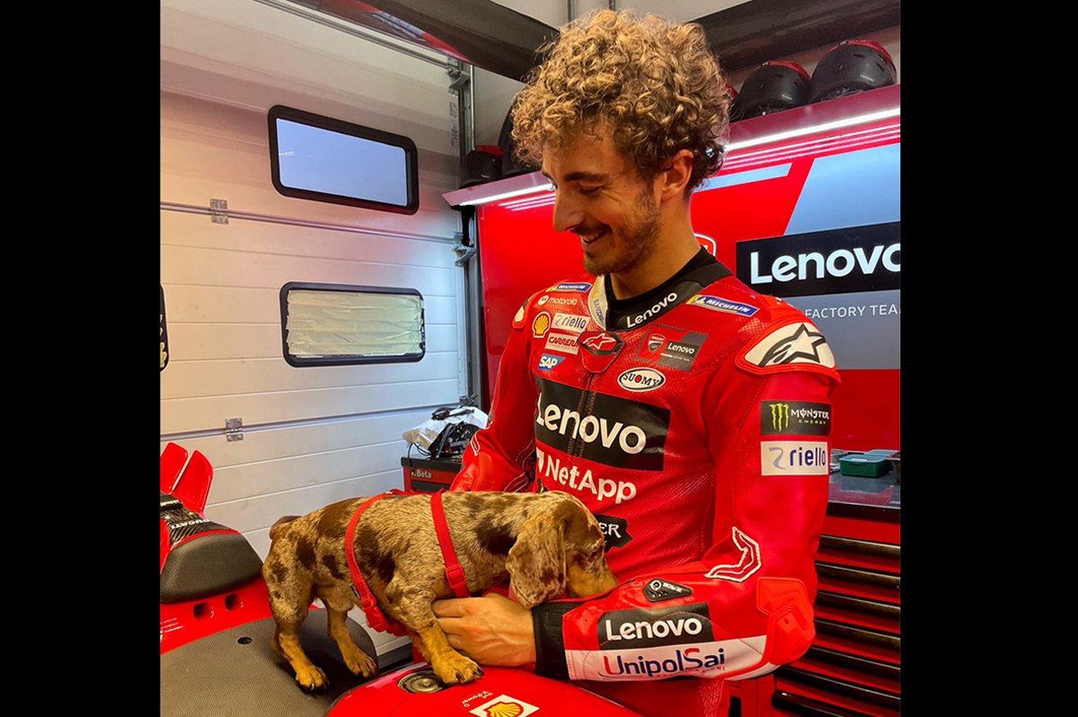 MotoGP : les pilotes et les chiens ont un coup de foudre, voici la raison