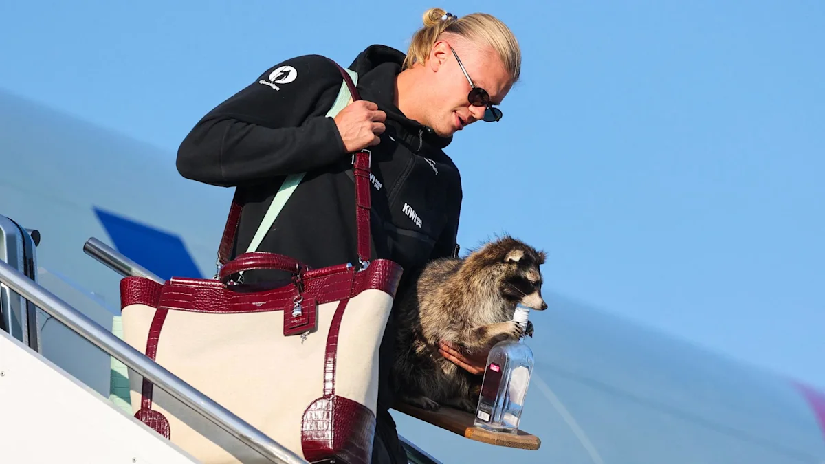 De retour en Norvège, Erling Haaland ne pouvait pas passer inaperçu avec ce raton laveur empaillé
