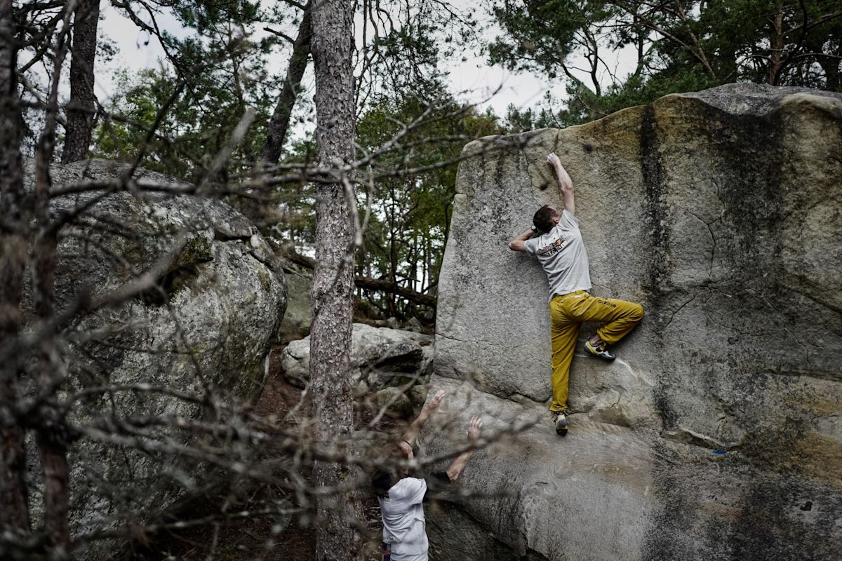 Incendies à Fontainebleau : près de 40 % des grimpeurs d’escalade contraints d’attendre