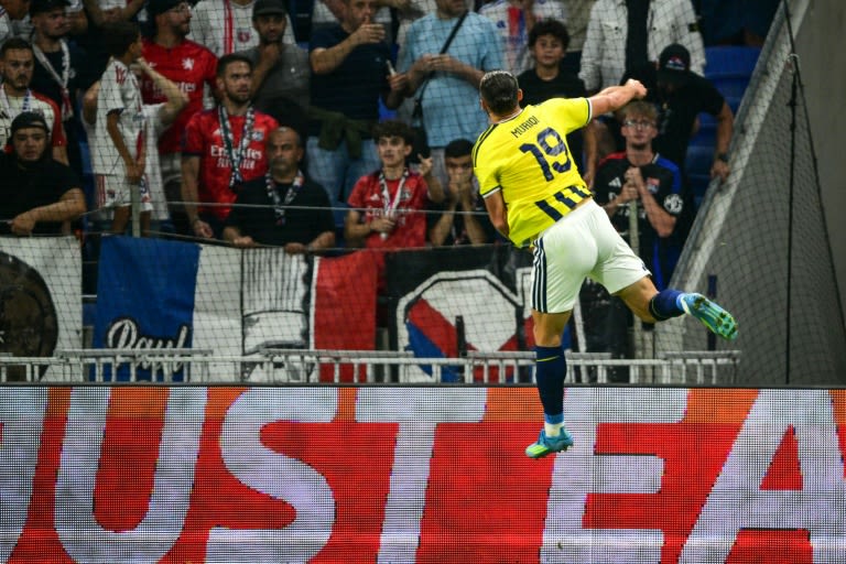 Ligue des champions : Fenerbahçe enterre les illusions de Lyon