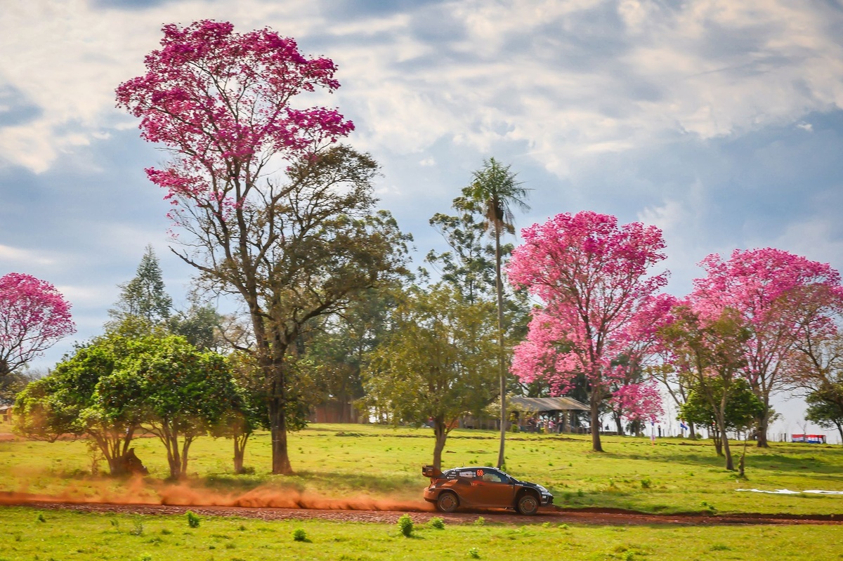 Rallye du Paraguay 2026 : programme complet, spéciales, horaires et pilotes engagés
